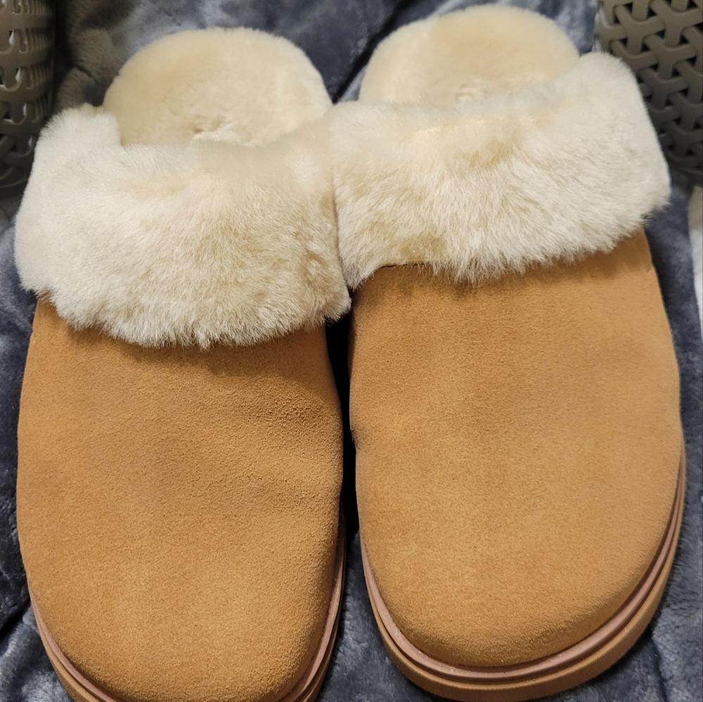 FitFlop Suede Clogs